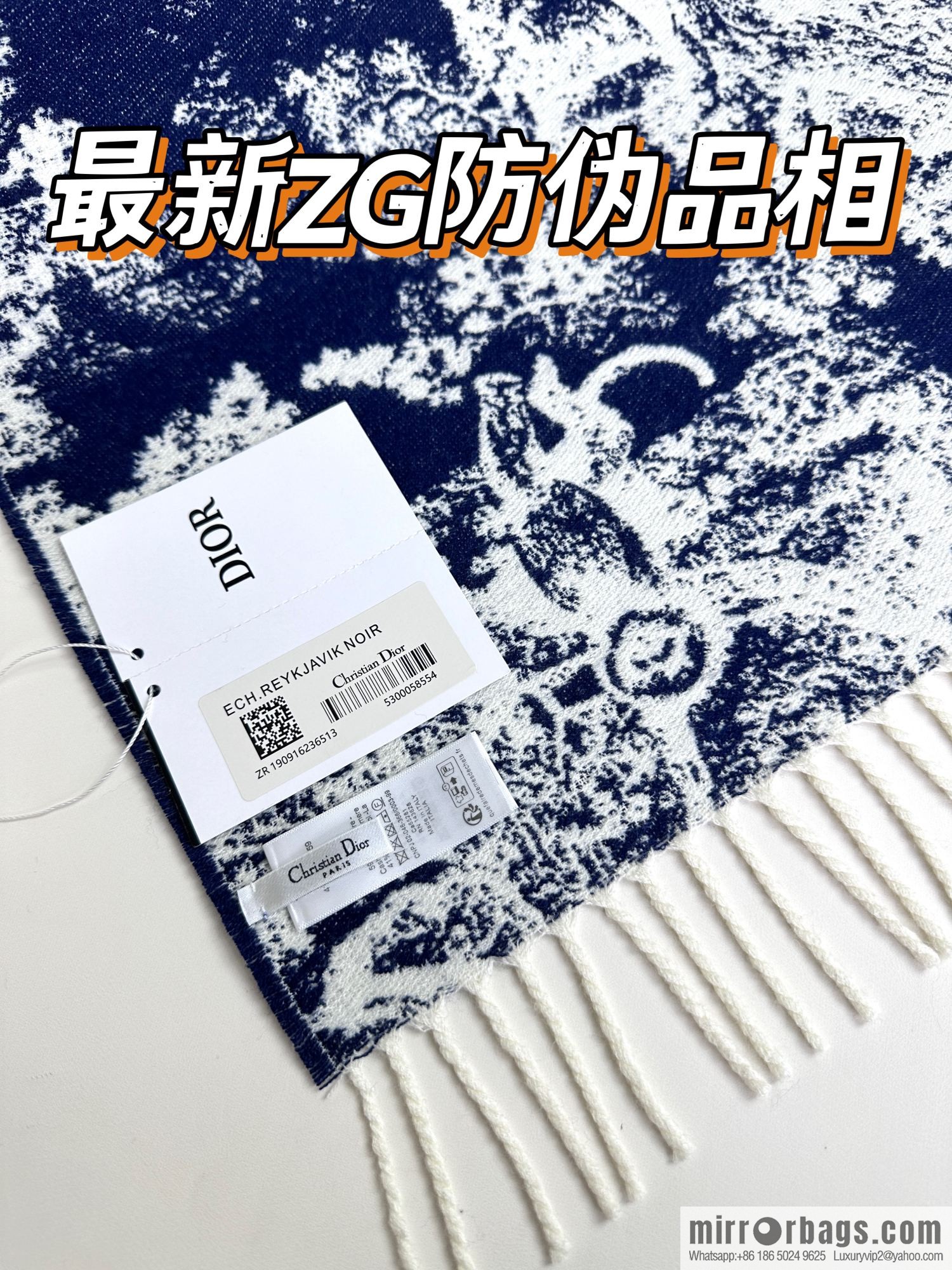 DIOR Sauvage printed scarf