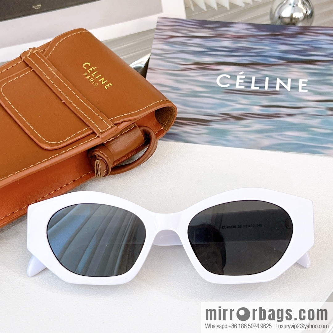 CELINE Large Frame Women's Sunglasses