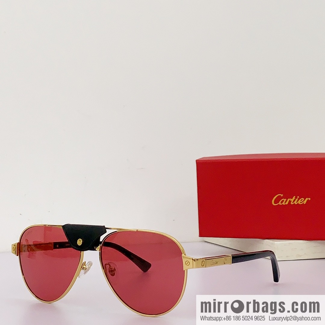 Cartier Metal Sheet Sunglasses