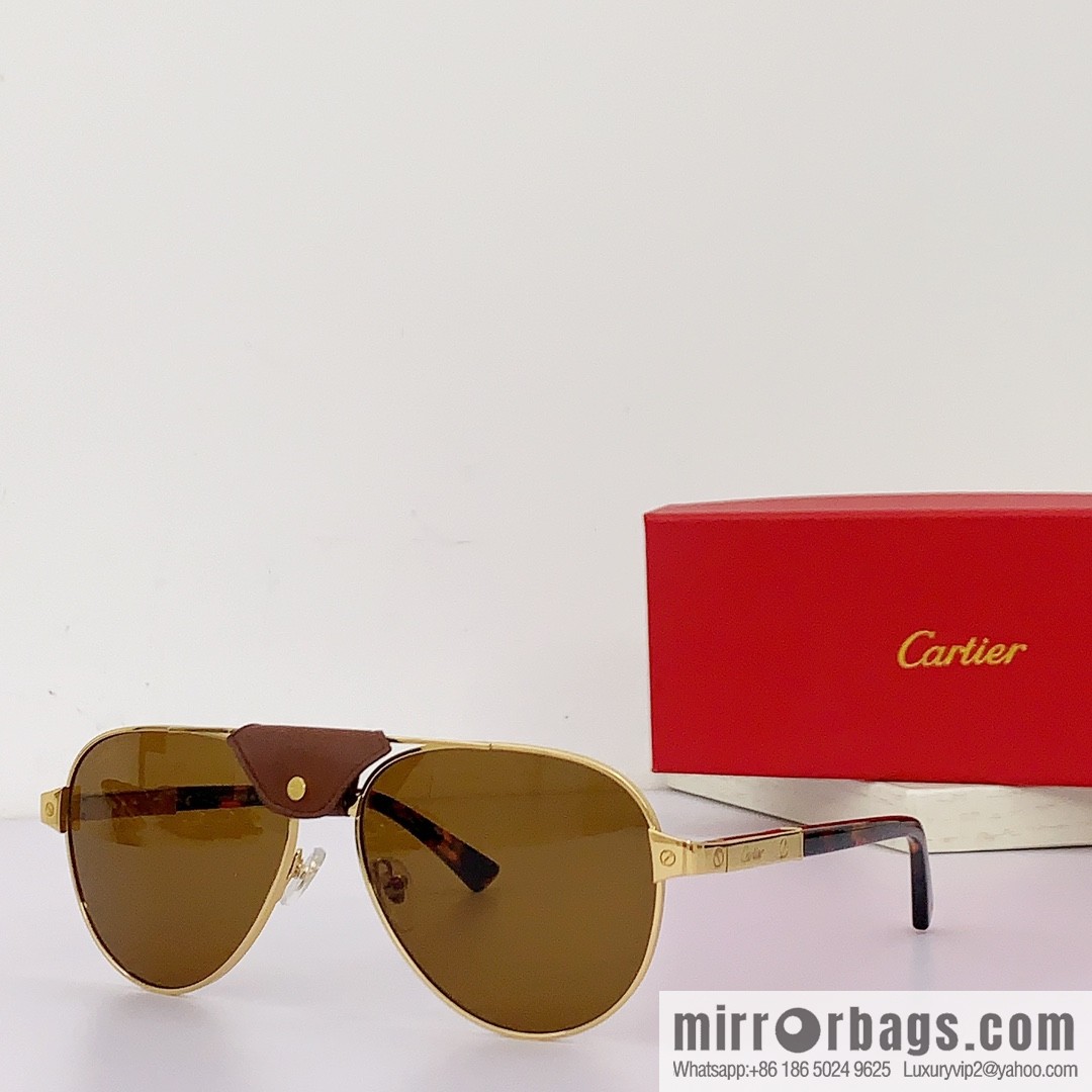Cartier Metal Sheet Sunglasses
