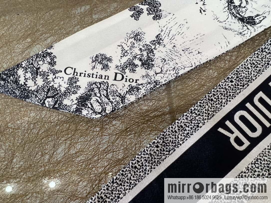 Dior twilly Sauvage Zooey print headband