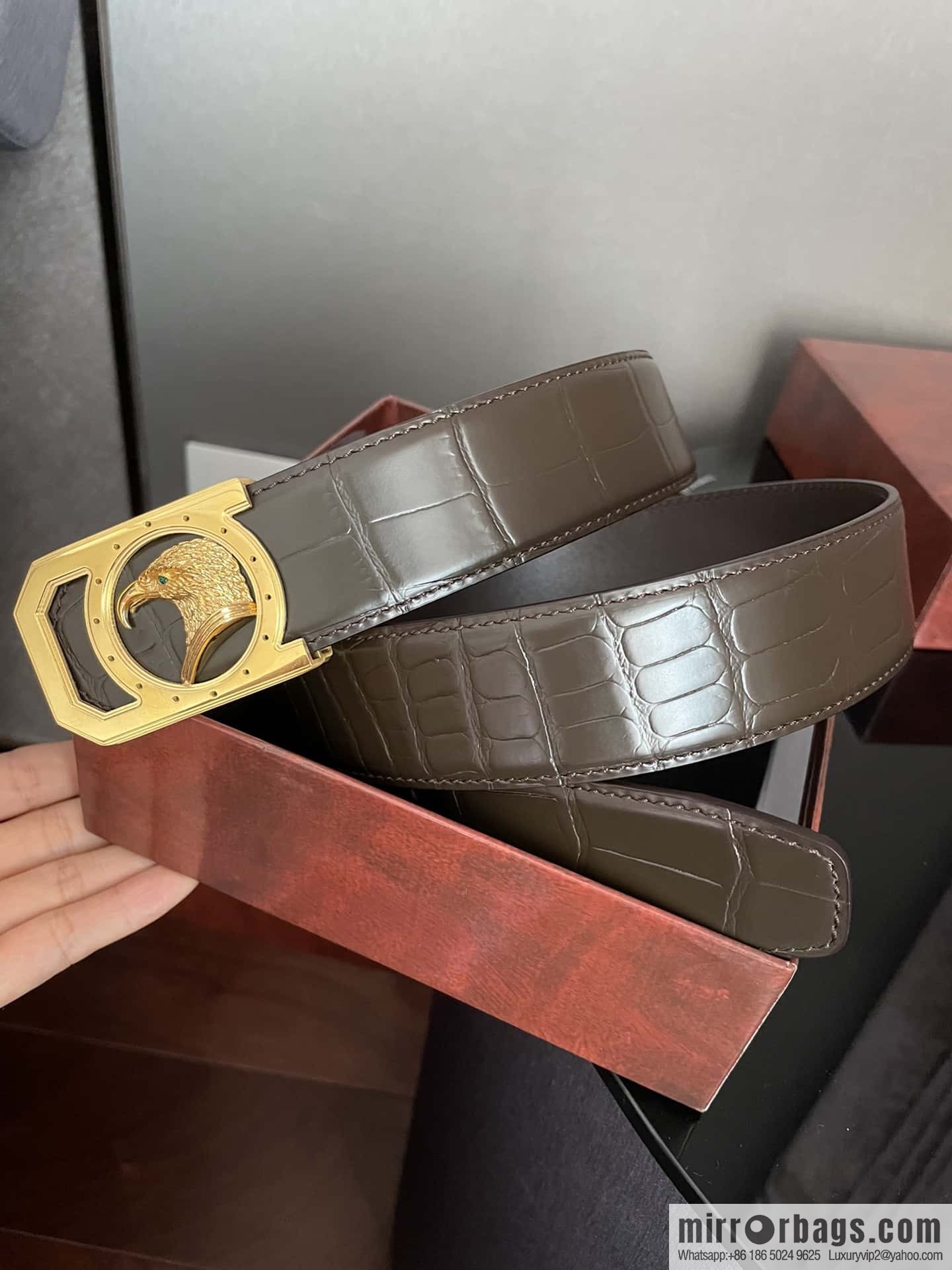 Stefano Ricci Stephen, Eagle Head Metal Buckle, Alligator Belt 3.8cm