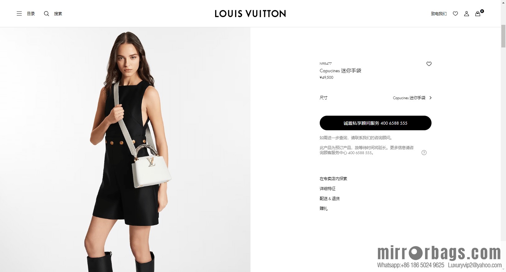 LV N98477 Capucines mini handbag