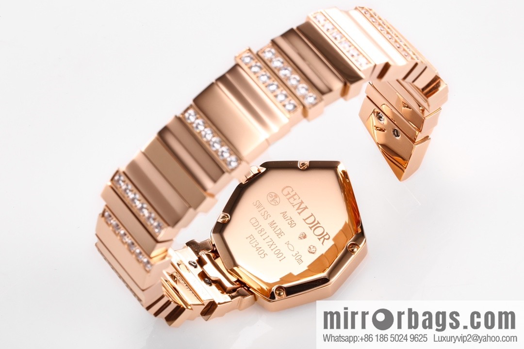 TW Factory Dior Original Swiss Quartz Movement Watch