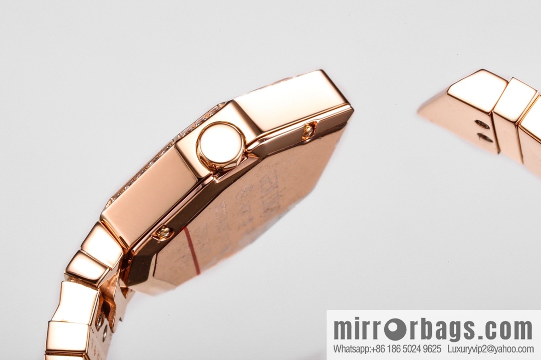TW Factory Dior Original Swiss Quartz Movement Watch