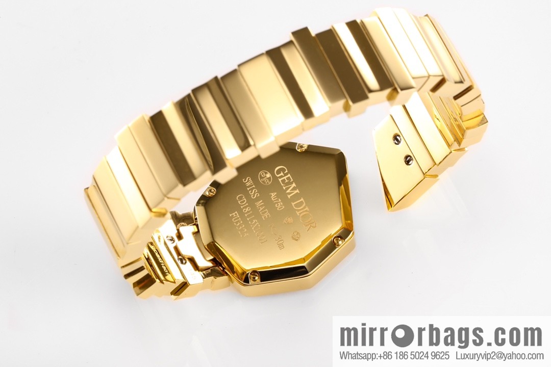 TW Factory Dior Original Swiss Quartz Movement Watch