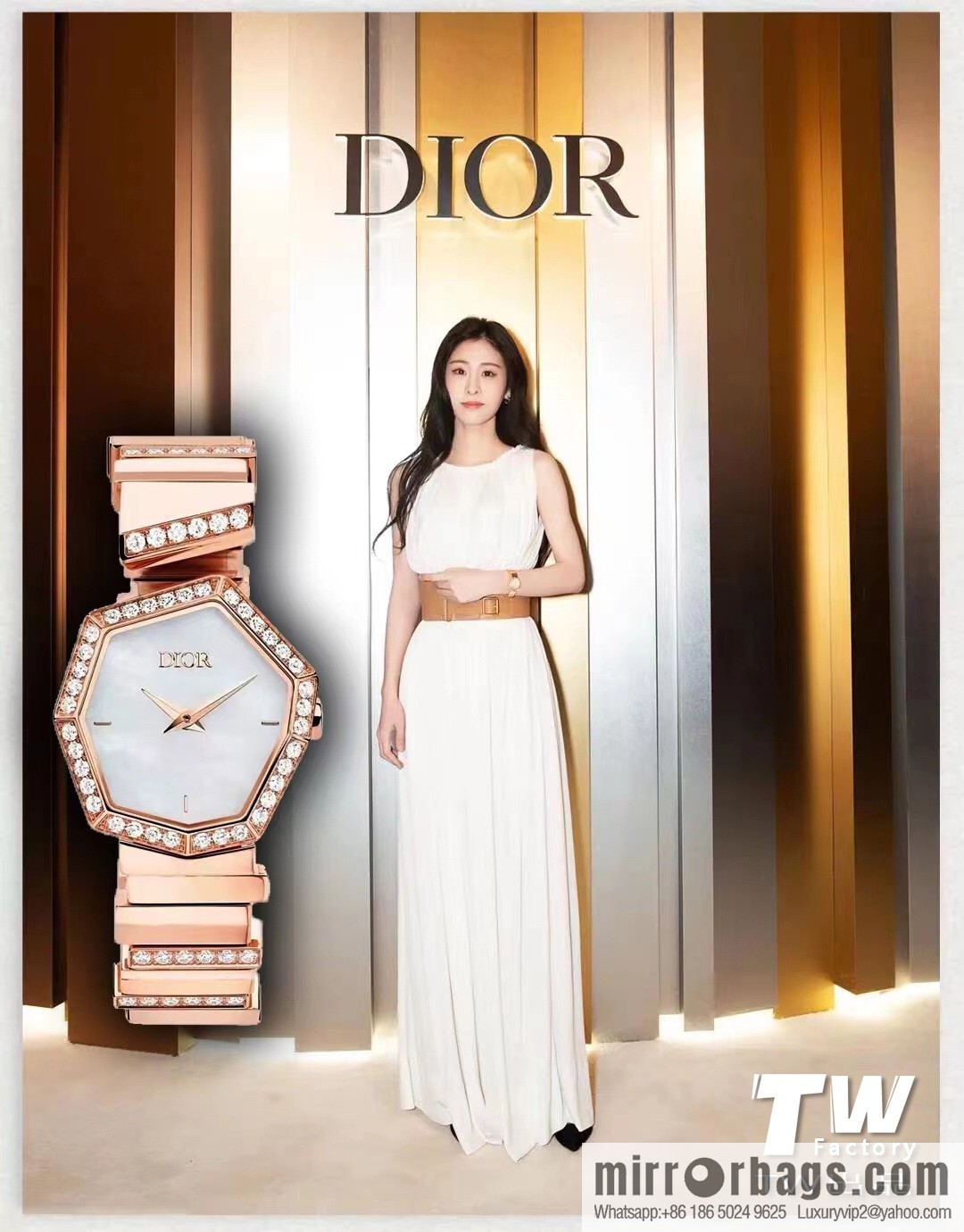 TW Factory Dior Original Swiss Quartz Movement Watch