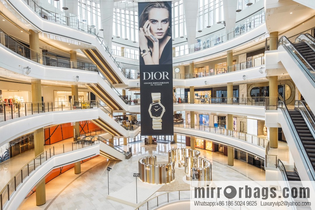 TW Factory Dior Original Swiss Quartz Movement Watch