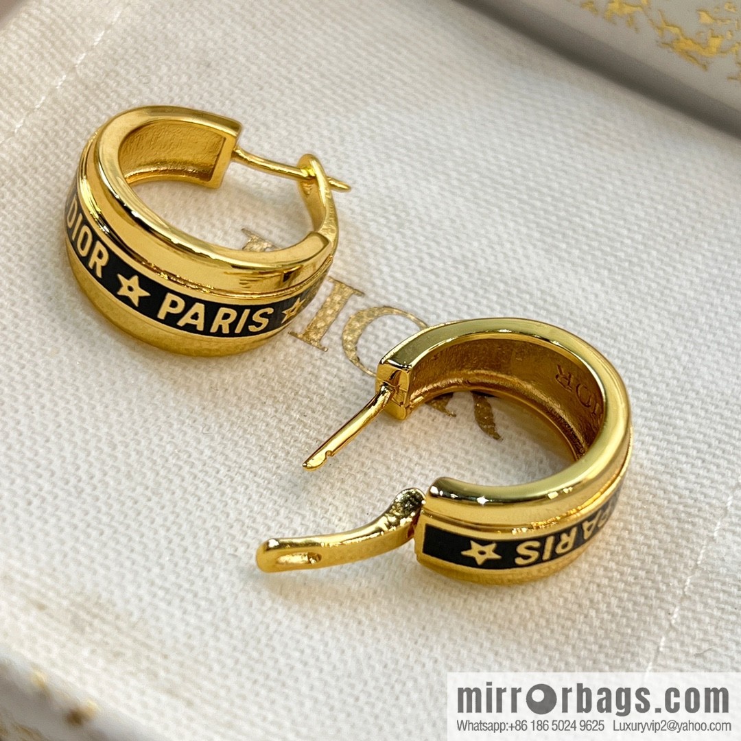 New ☑️ Dior letter earrings
