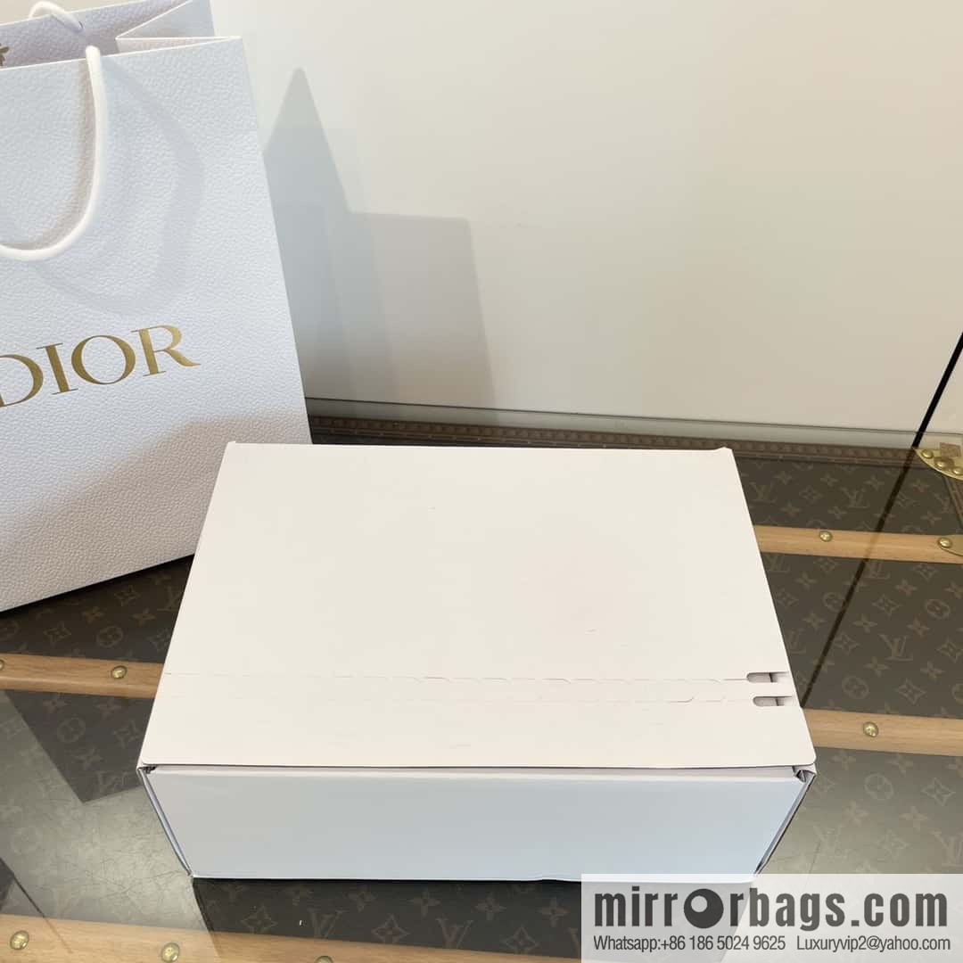DIOR autumn and winter classic dad shoes
