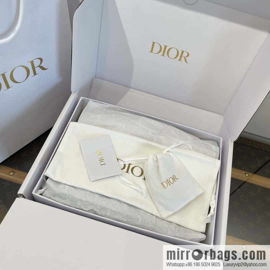 DIOR autumn and winter classic dad shoes