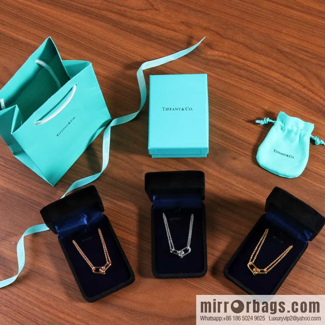 New ☑️ Tiffany & Co. Tiffany HardWear Double Ring Horseshoe Buckle Necklace