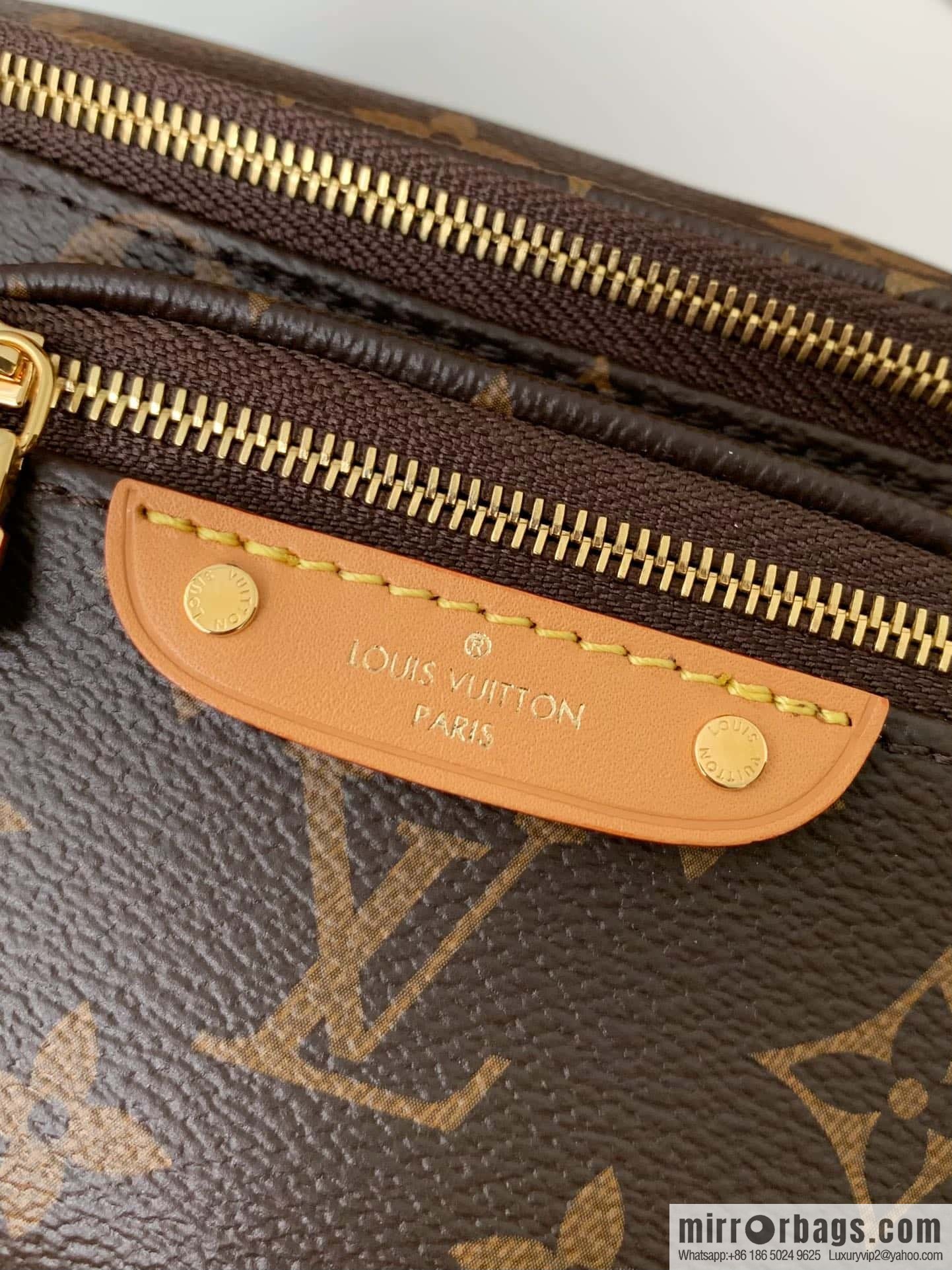 LV M82335 MINI BUMBAG handbag
