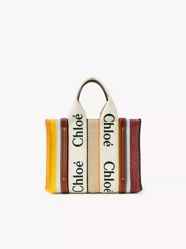 Chloe Rainbow 🌈 Woody tote bag, small 26CM