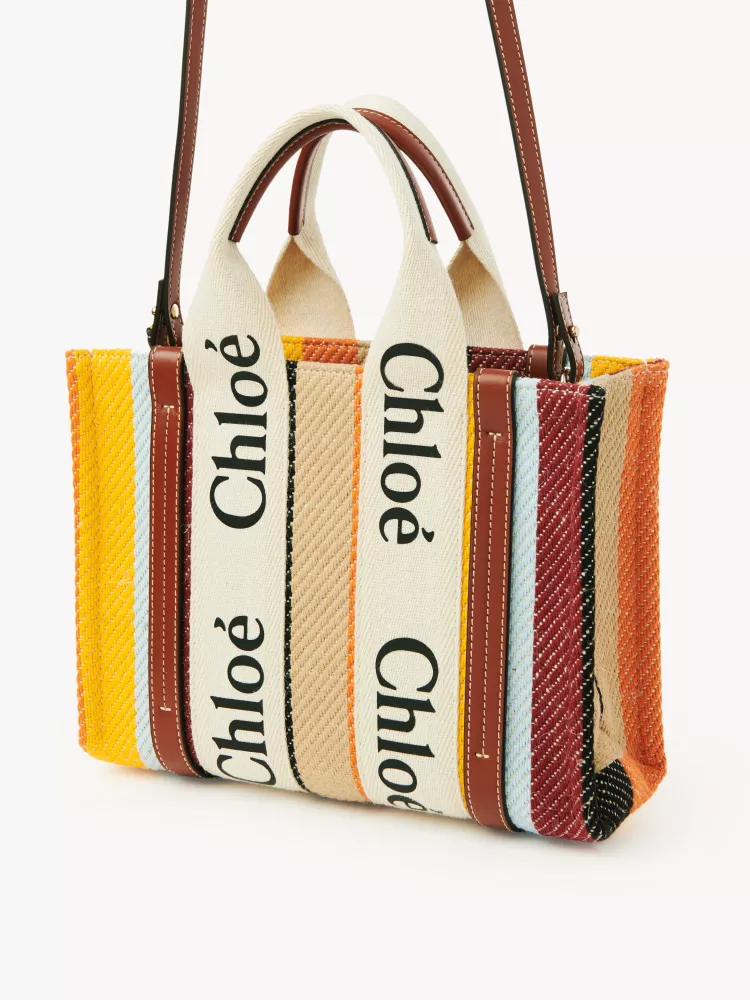 Chloe Rainbow 🌈 Woody tote bag, small 26CM