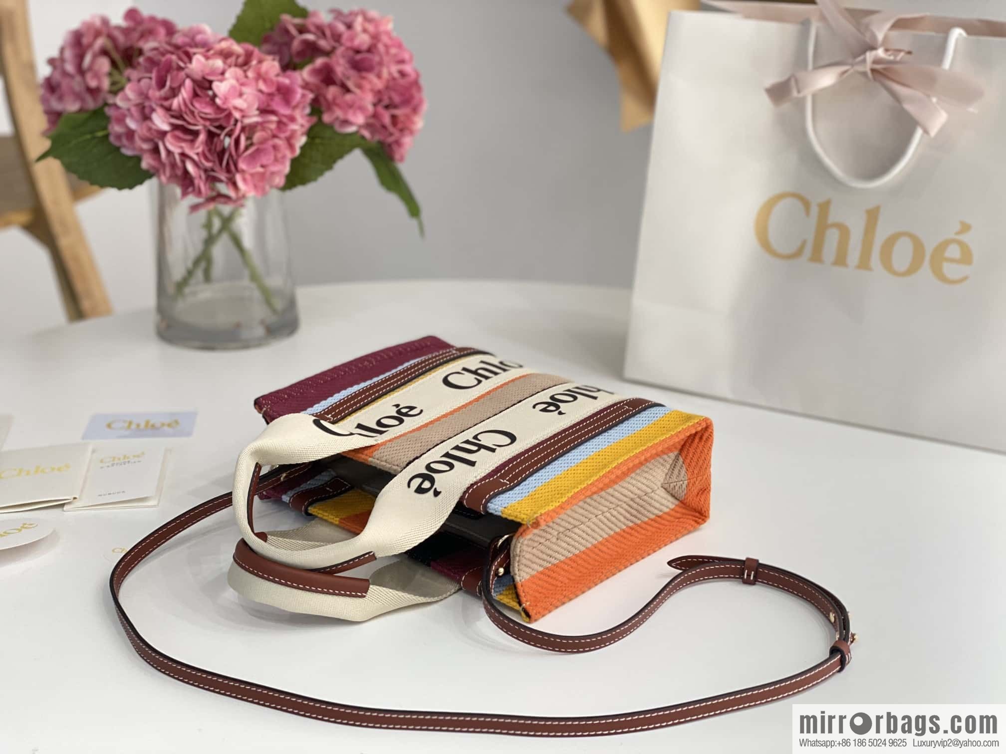 Chloe Rainbow 🌈 Woody tote bag, small 26CM