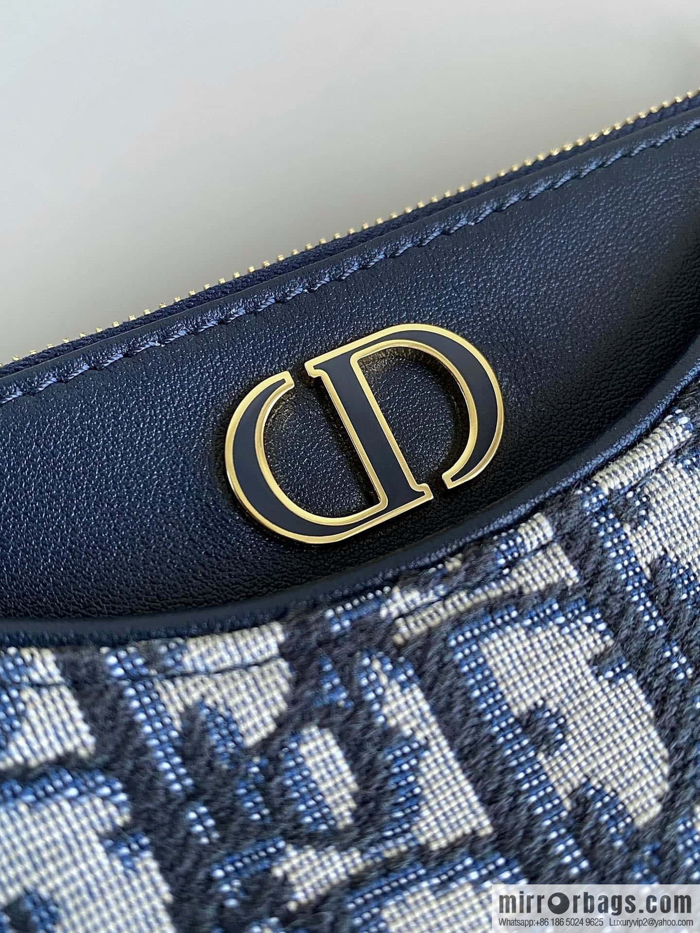 DIOR 30 MONTAIGNE HOBO AVENUE mini handbag