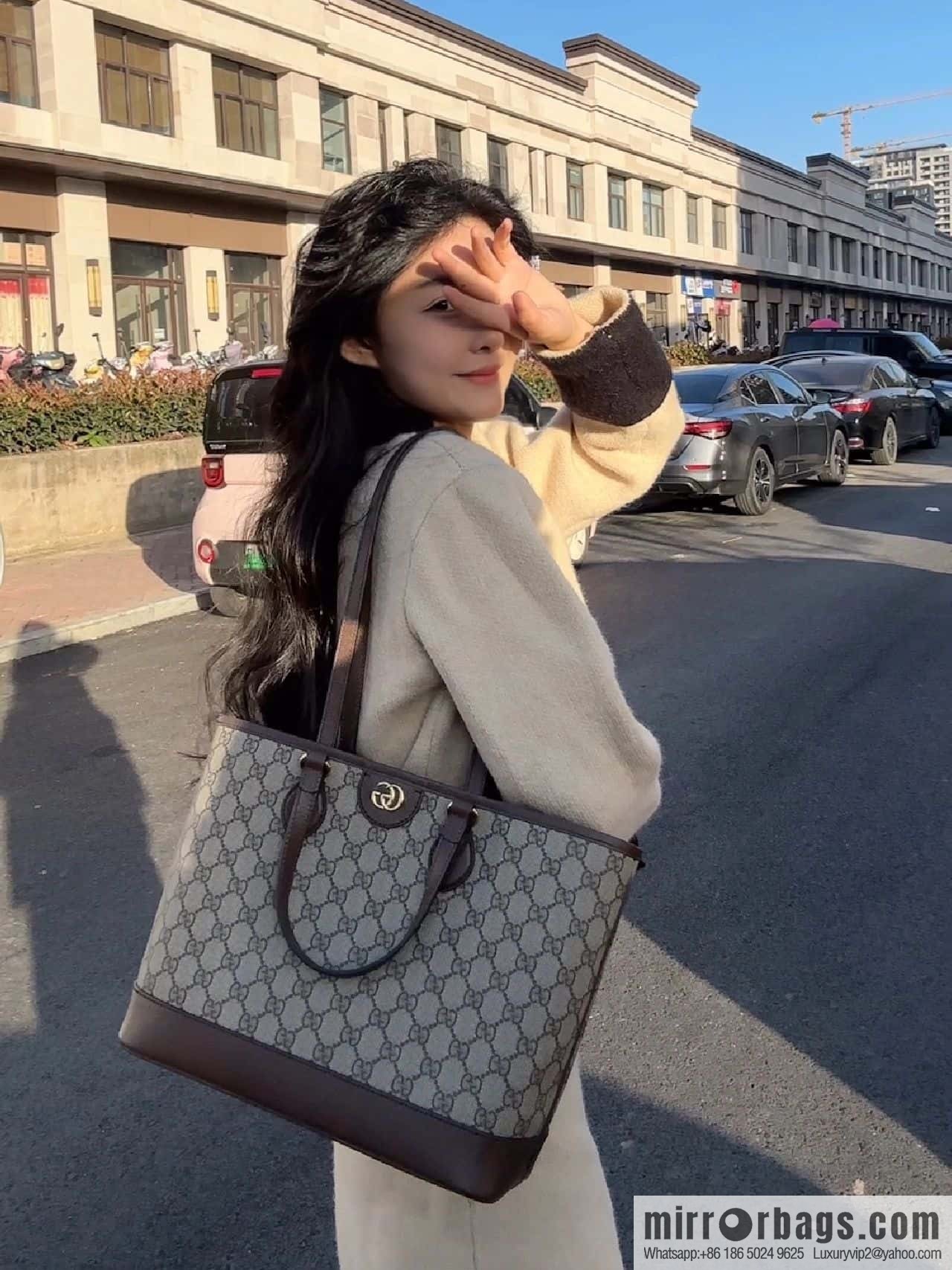GUCCI Ophidia mini tote bag 765043