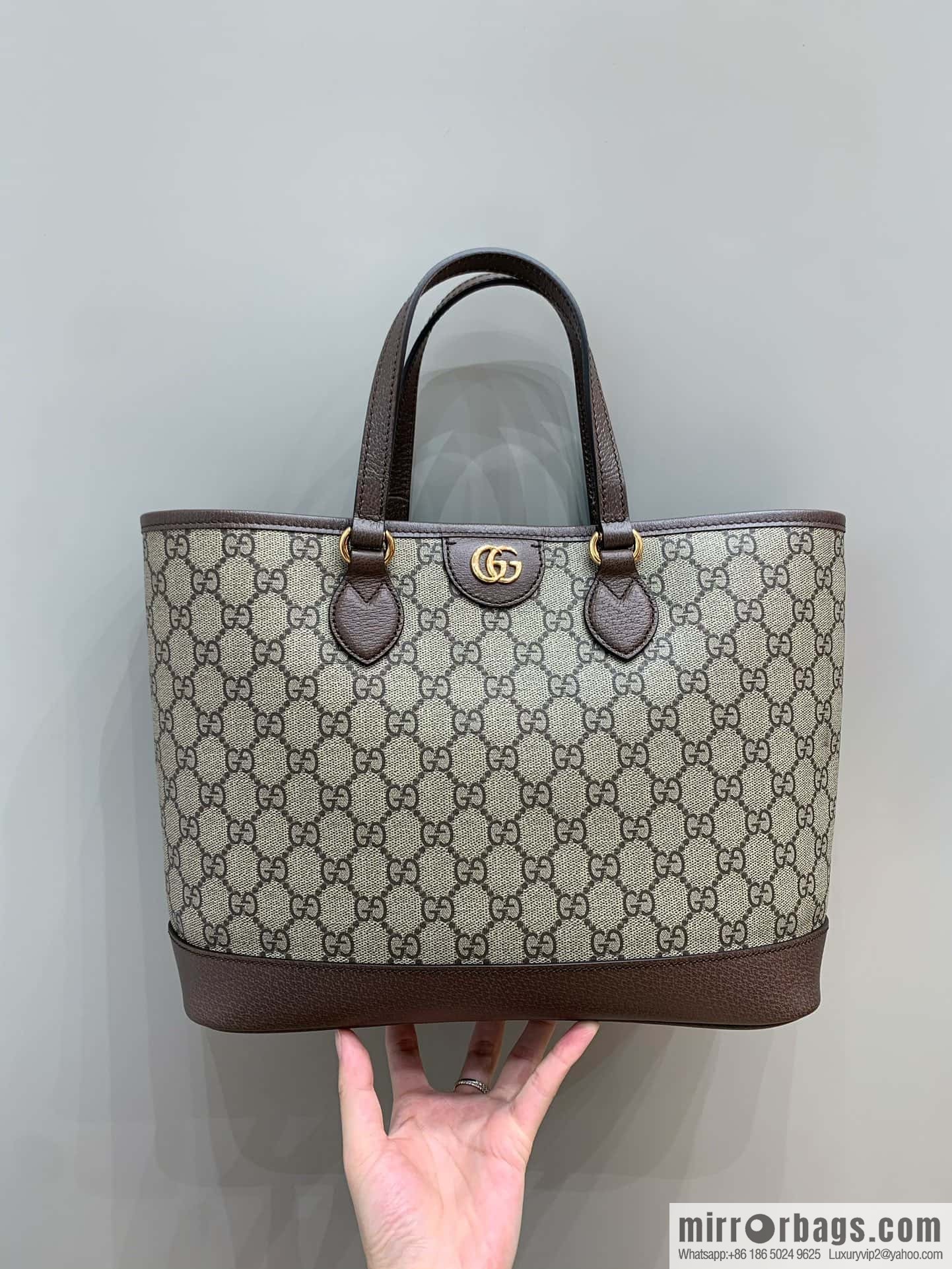 GUCCI Ophidia mini tote bag 765043