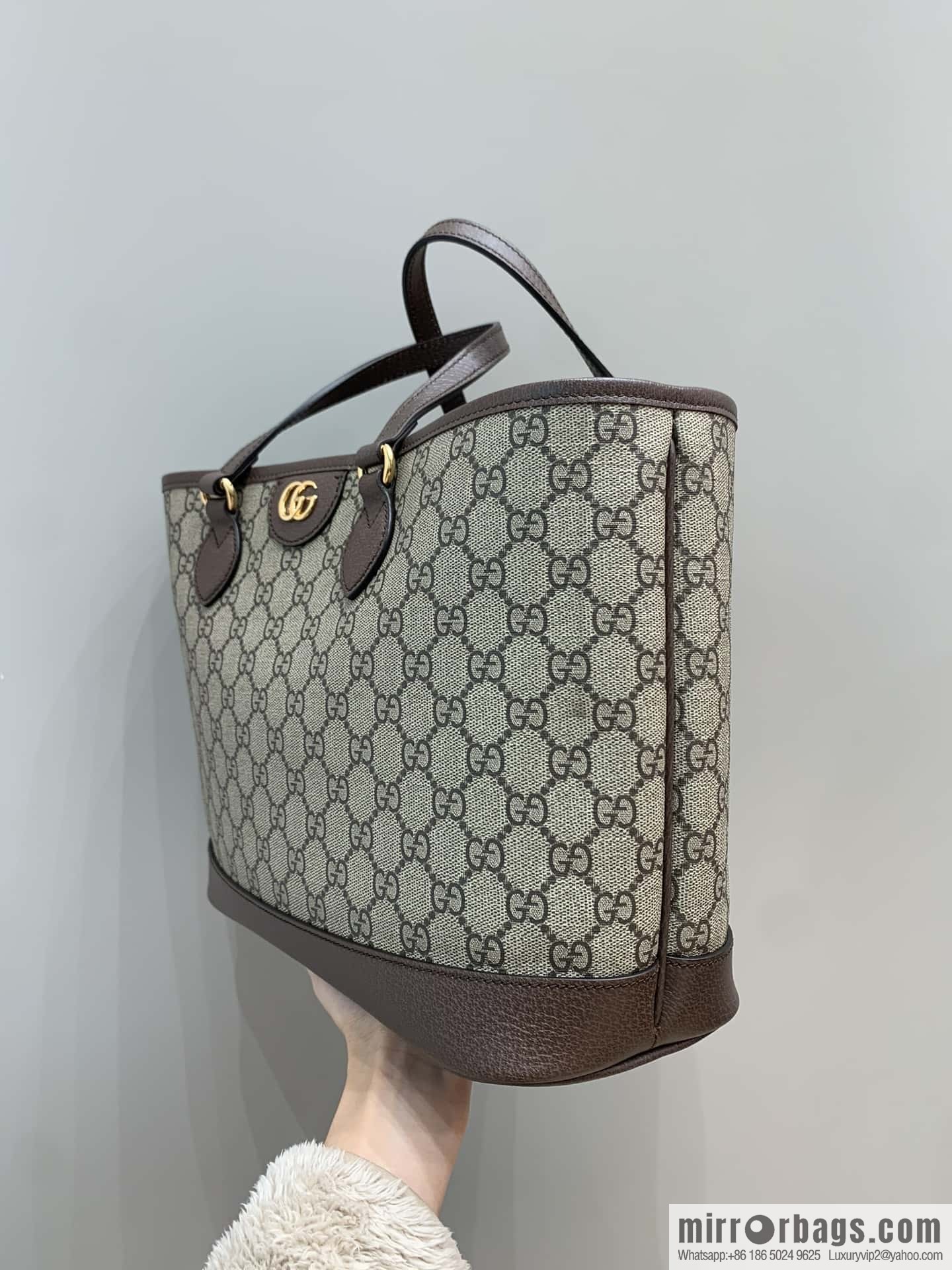 GUCCI Ophidia mini tote bag 765043