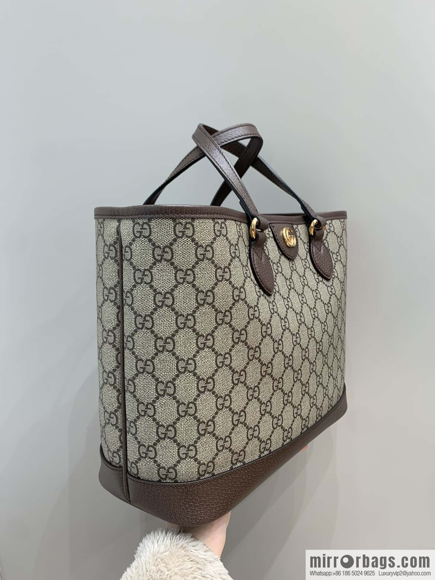 GUCCI Ophidia mini tote bag 765043