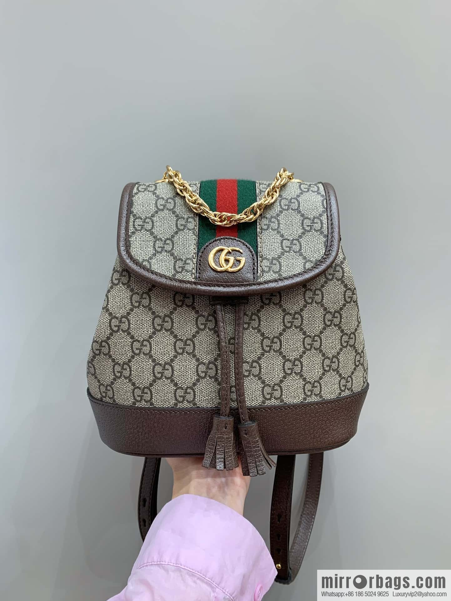 Gucci Ophidia mini backpack 795221