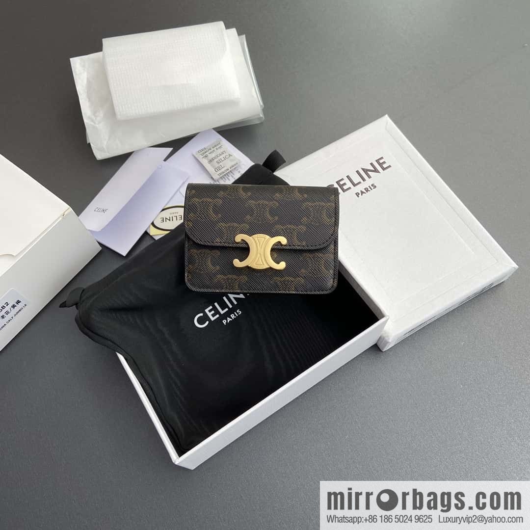 Celine TRIOMPHE logo printed card holder 10I582CPJ.04LU