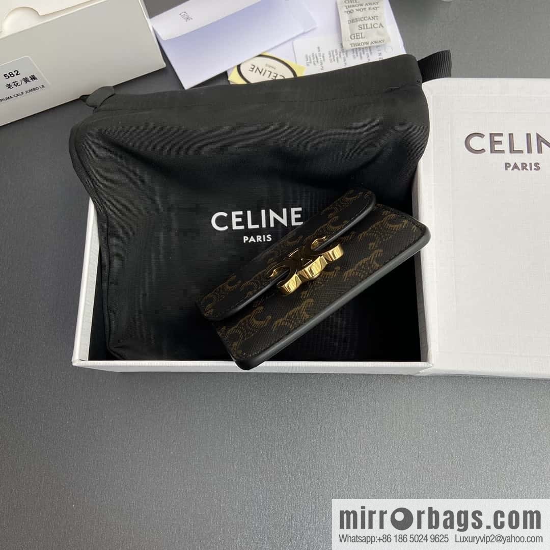Celine TRIOMPHE logo printed card holder 10I582CPJ.04LU