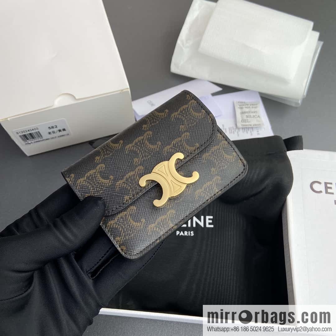 Celine TRIOMPHE logo printed card holder 10I582CPJ.04LU