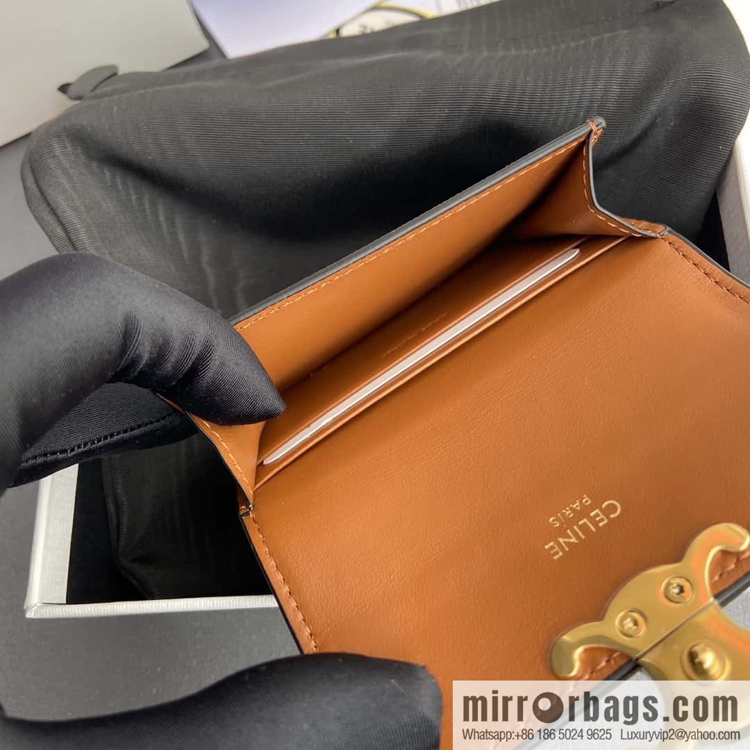 Celine TRIOMPHE logo printed card holder 10I582CPJ.04LU