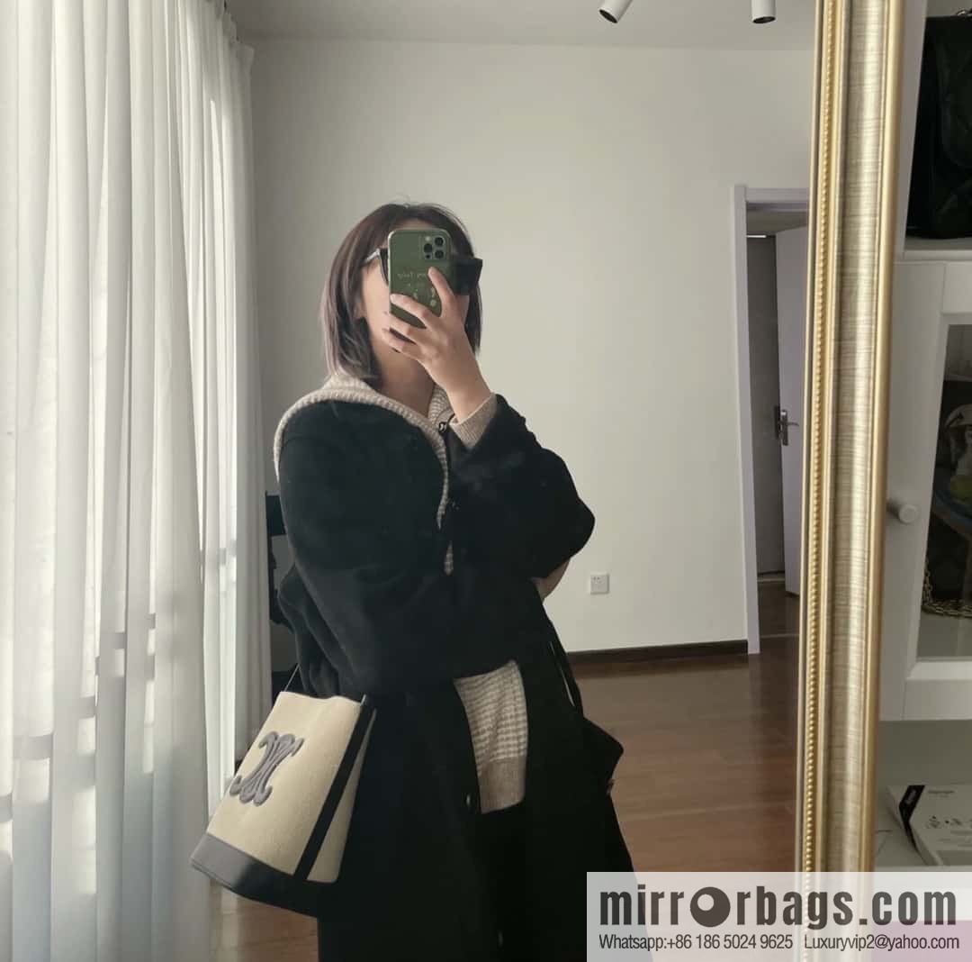 Celine CUIR TRIOMPHE small bucket bag 198242
