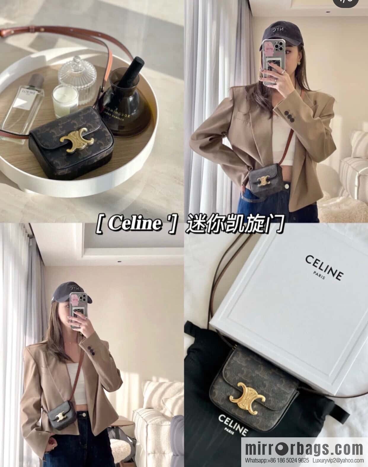 CELINE Mini Arc de Triomphe Iconic Printed Handbag 101513