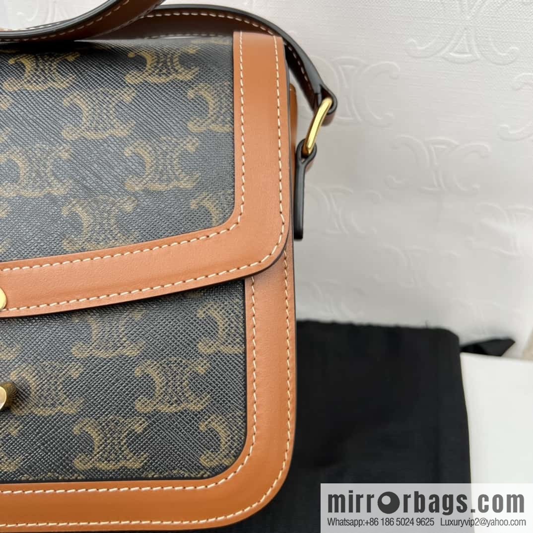 CELINE TRIOMPHE canvas and calfskin handbag 187363