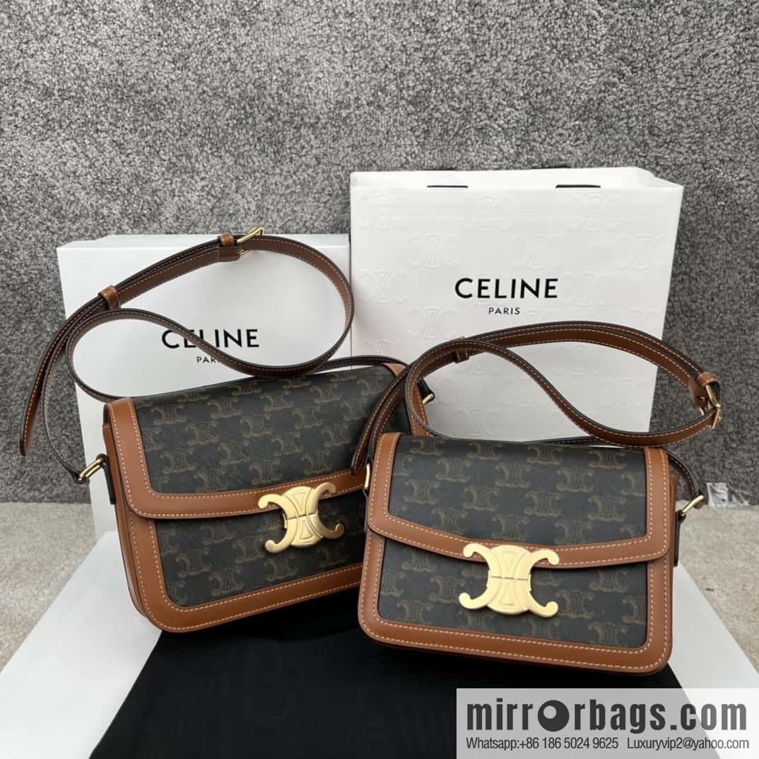 CELINE TRIOMPHE canvas and calfskin handbag 187363