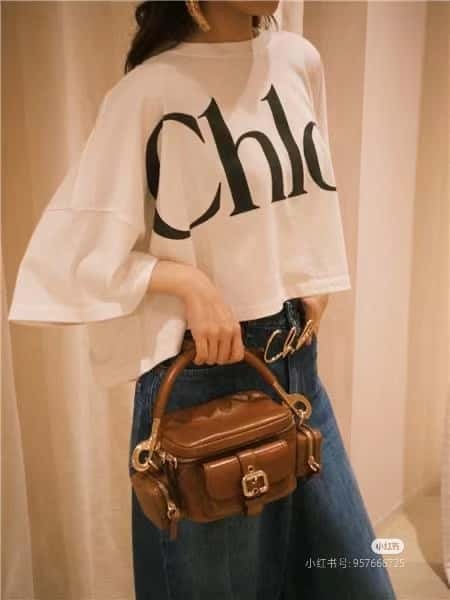 Chloe 2024 Autumn and Winter New Camera Bag W0653 Brown