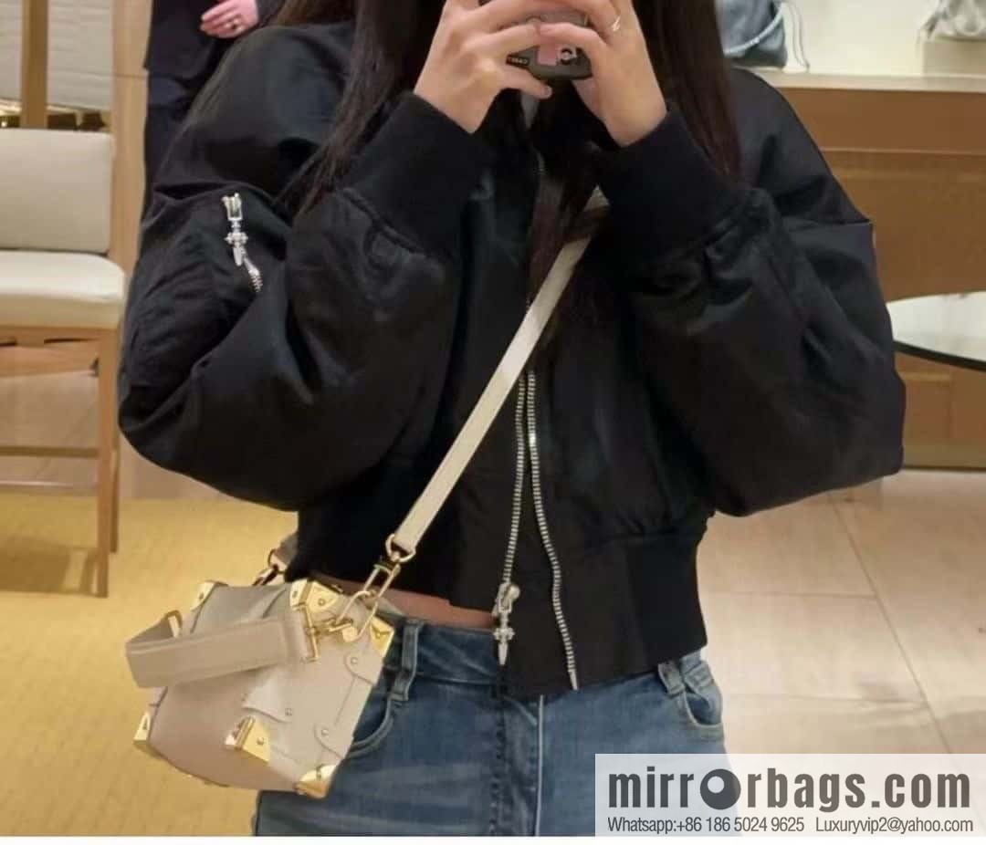 LV M23915 SIDE TRUNK small handbag