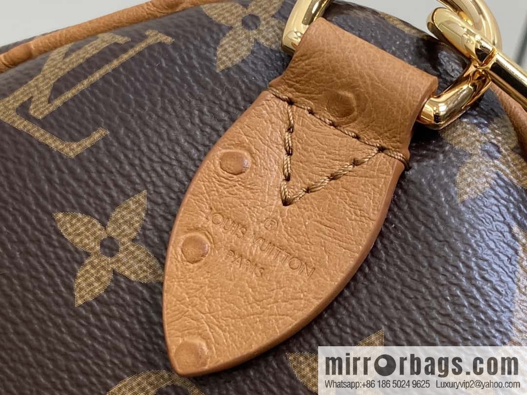 N87212 new SPEEDY SOFT 30 BOHO handbag (ostrich) pillow bag speedy series