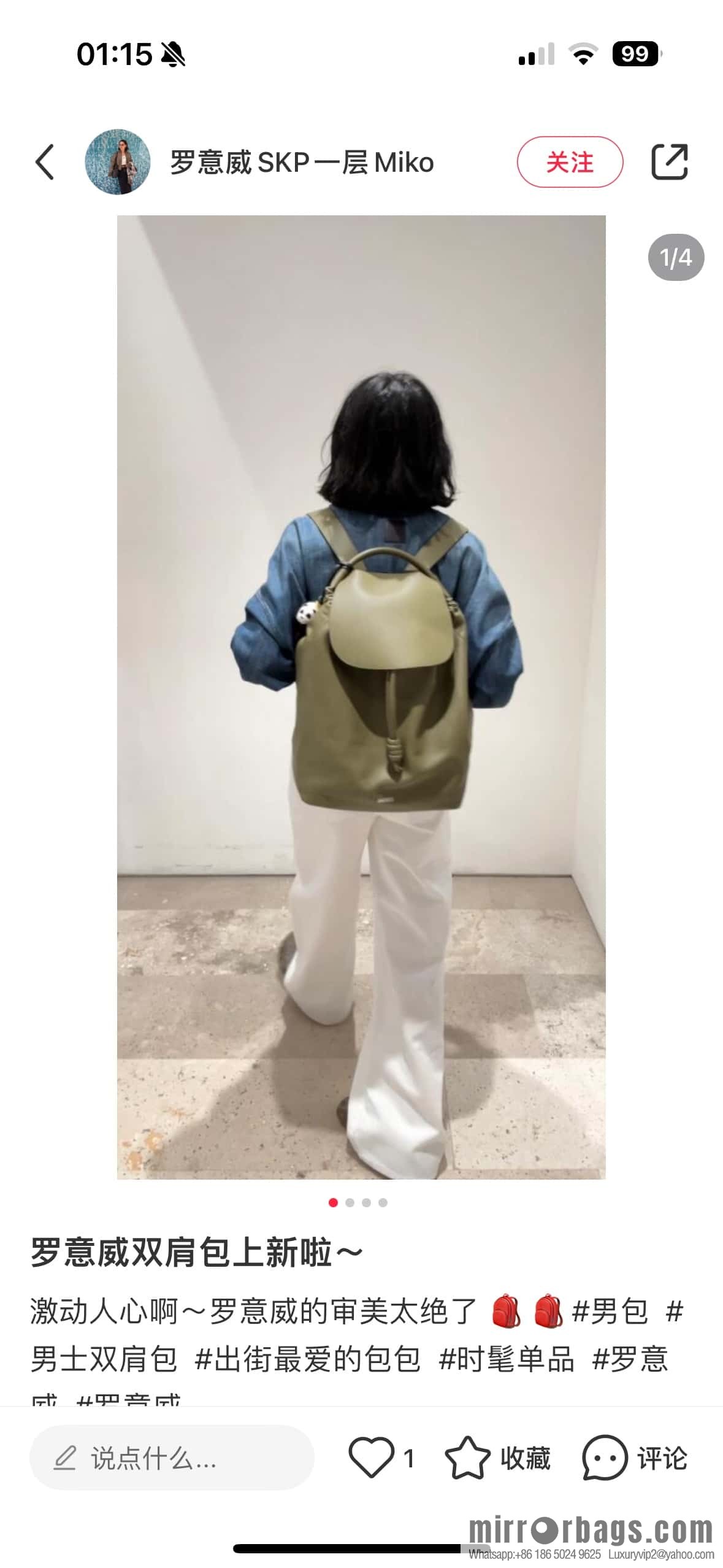 LOEWE Luo's new backpack 🎒 0903 green