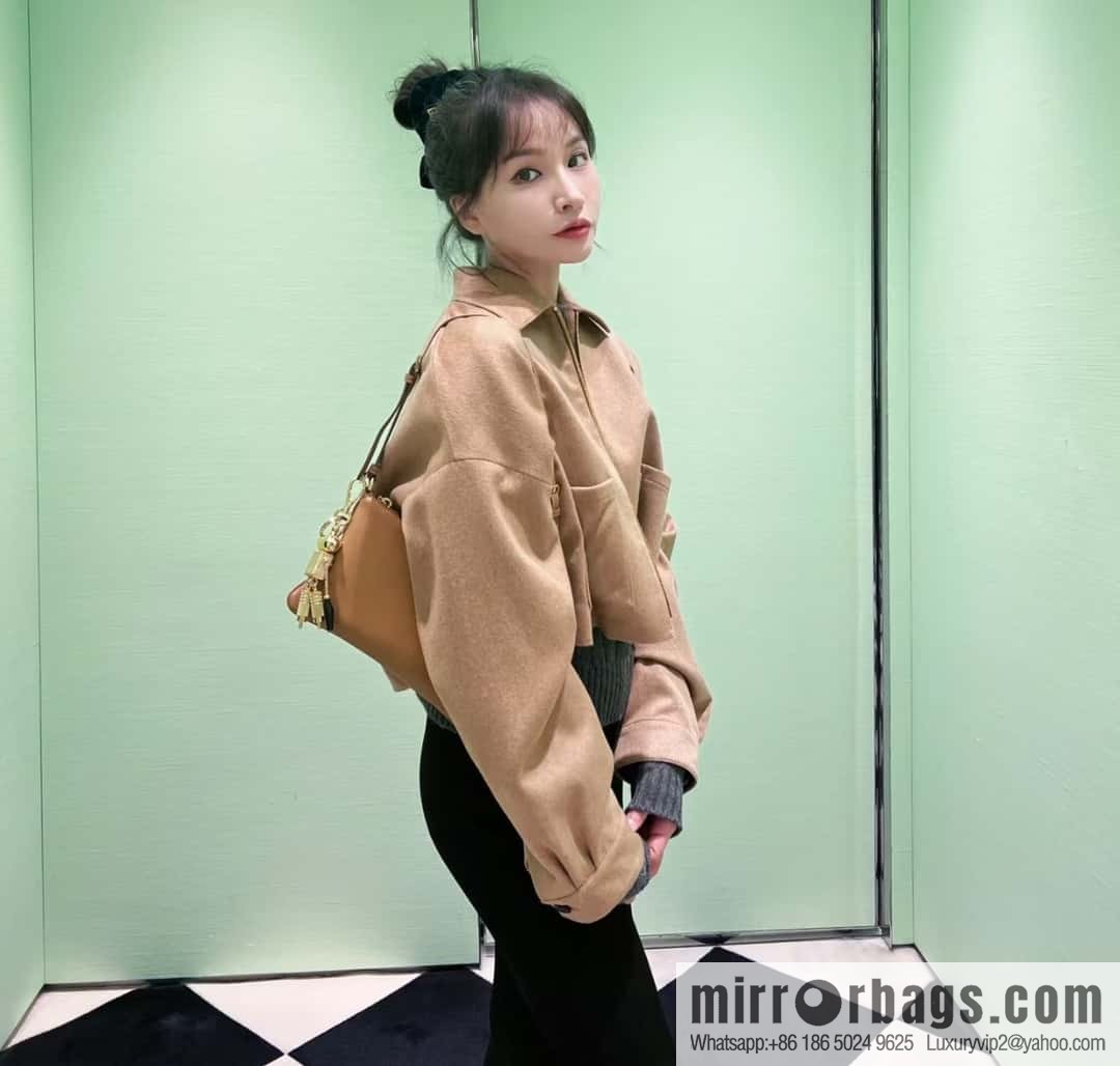 PRADA 🎉 new armpit bag 🎉 1NE545A calfskin/1BC238 🎉🎉 brown
