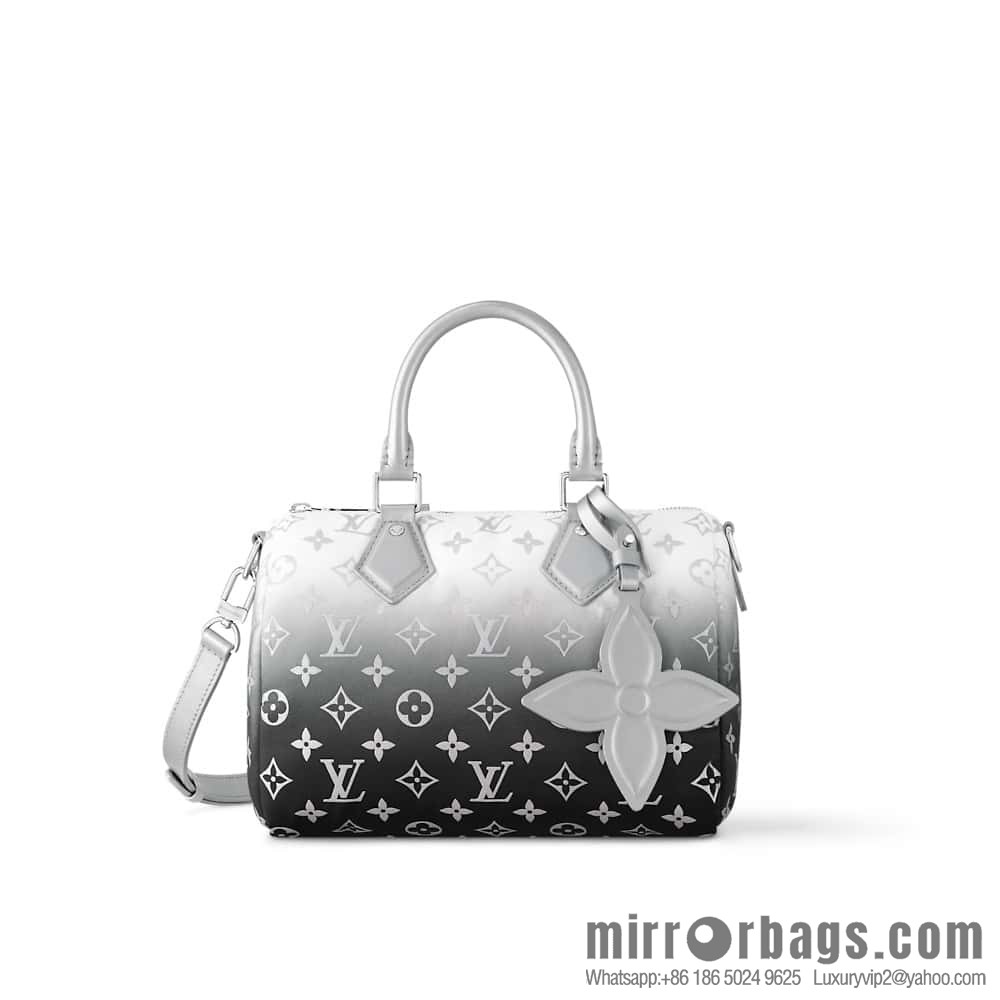 [Boutique‑grade] M11848 silver down, pillow bag speedy series SPEEDY BANDOULIZRE 25 handbag