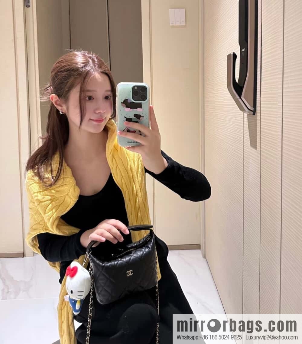𝐂𝐡𝐚𝐧𝐞𝐥 𝟐𝟓𝐜 early spring new, lunch box bag, black gold 🖤 AP4386