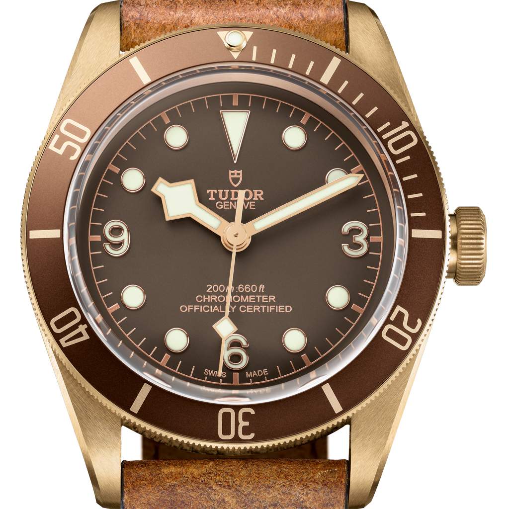 gphg2016_tudor_m79250bm-0001_brown_leather_brown_f_xl_rvb_01