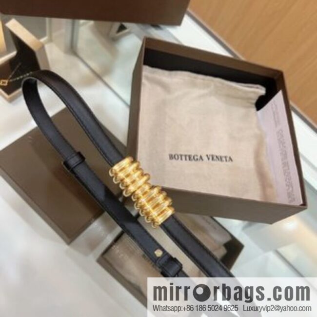 BV Baodian Replica Luxury Handbag, Brown Gold Metal Buckle Wrapped Irregular Design Gold Ring Decorative Waist Belt
