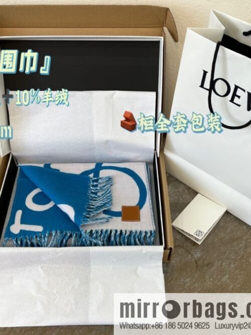 LOEWE Unisex Graffiti Double Sided Scarf