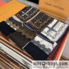 LV Louis Vuitton Double Sided 300 Ring Fleece Long Towel