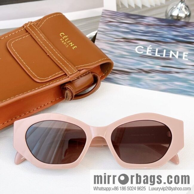 CELINE Large Frame Women\'s Sunglasses