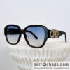 Ferragamo Ladies Sunglasses
