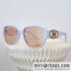 Ferragamo Ladies Sunglasses