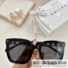 CELINE Celine Arc de Triomphe temple letter logo women\'s sunglasses