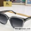 Burberry Burberry Plate Frame Unisex Sunglasses